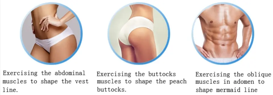 Vertical Rf Ems Body Weight Loss Machine